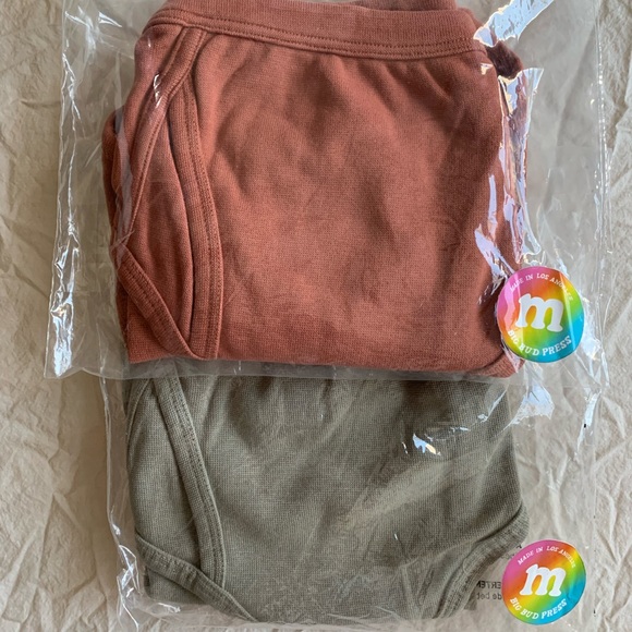 Big Bud Press Other - Big Bud Press unisex Classic Briefs- 2 pairs New in package Size Medium